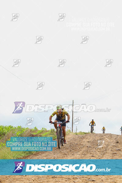 Pedala Paraná - Rota do Caramuru 2024