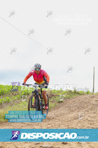 Pedala Paraná - Rota do Caramuru 2024