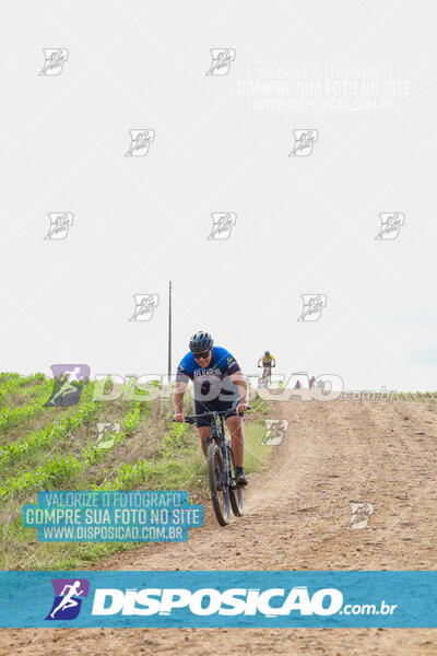 Pedala Paraná - Rota do Caramuru 2024