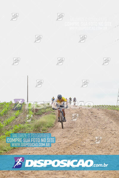 Pedala Paraná - Rota do Caramuru 2024