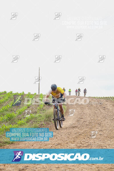 Pedala Paraná - Rota do Caramuru 2024