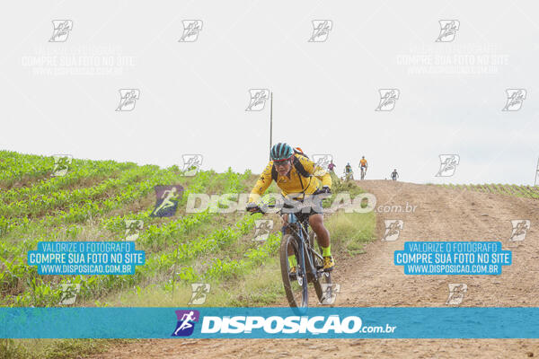 Pedala Paraná - Rota do Caramuru 2024