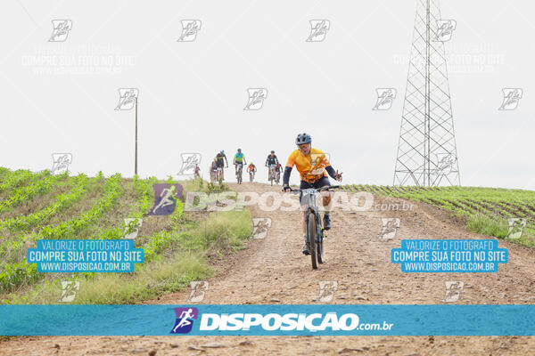 Pedala Paraná - Rota do Caramuru 2024