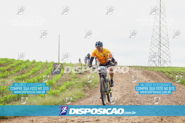 Pedala Paraná - Rota do Caramuru 2024