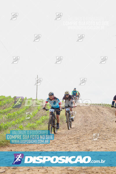 Pedala Paraná - Rota do Caramuru 2024