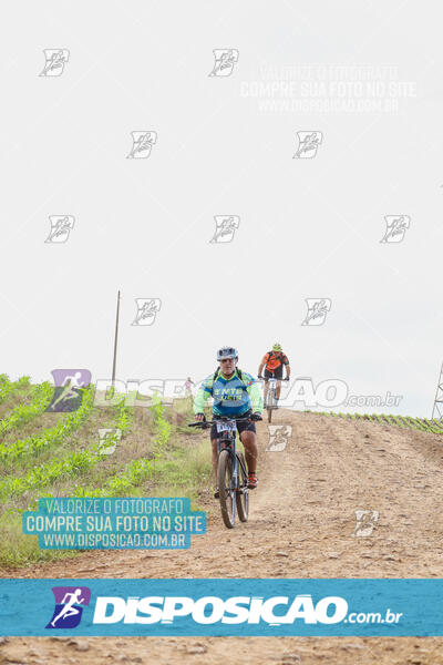 Pedala Paraná - Rota do Caramuru 2024