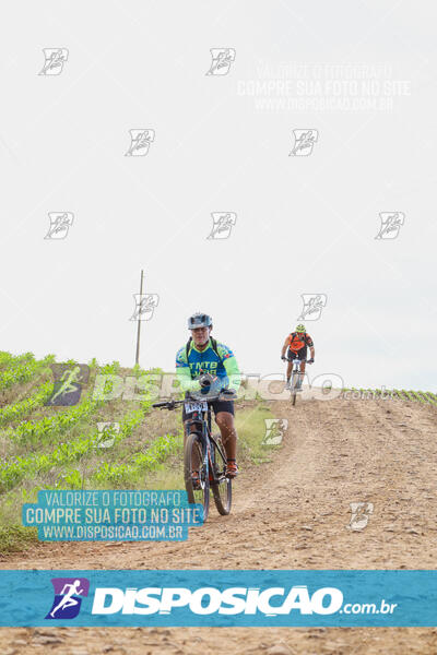 Pedala Paraná - Rota do Caramuru 2024