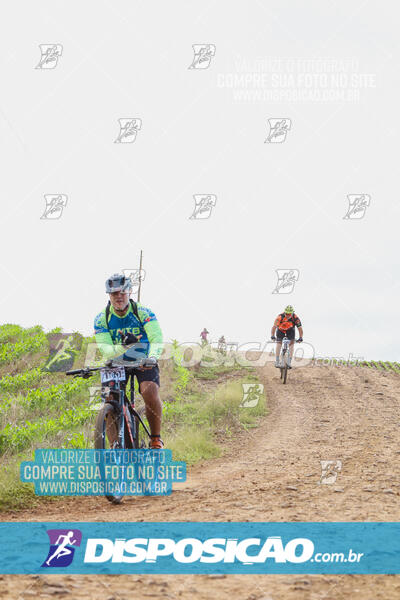 Pedala Paraná - Rota do Caramuru 2024