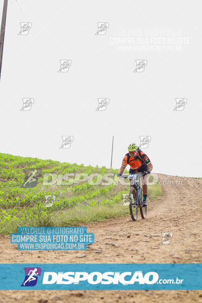 Pedala Paraná - Rota do Caramuru 2024