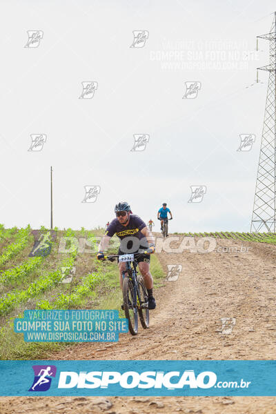 Pedala Paraná - Rota do Caramuru 2024