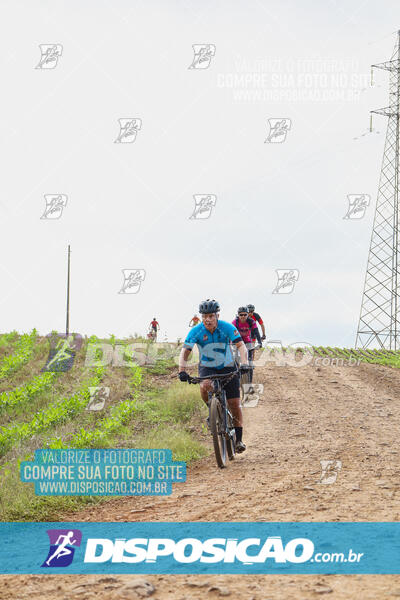 Pedala Paraná - Rota do Caramuru 2024