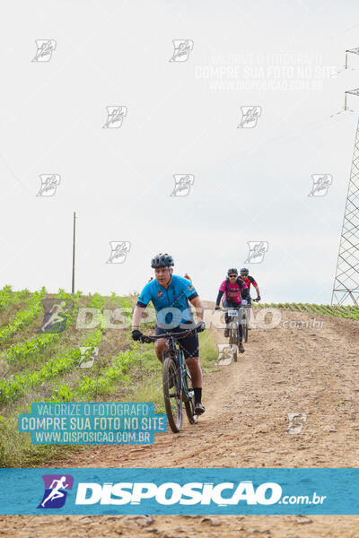 Pedala Paraná - Rota do Caramuru 2024