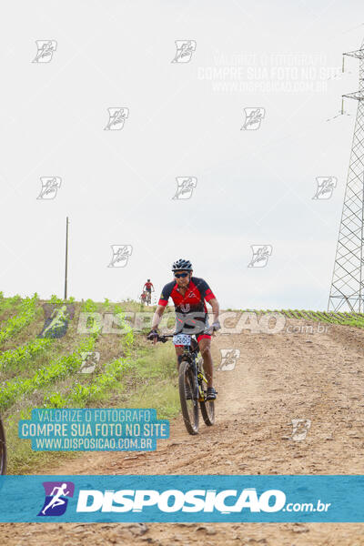 Pedala Paraná - Rota do Caramuru 2024