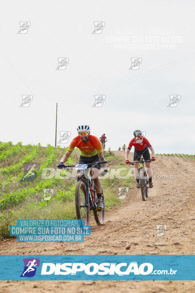 Pedala Paraná - Rota do Caramuru 2024