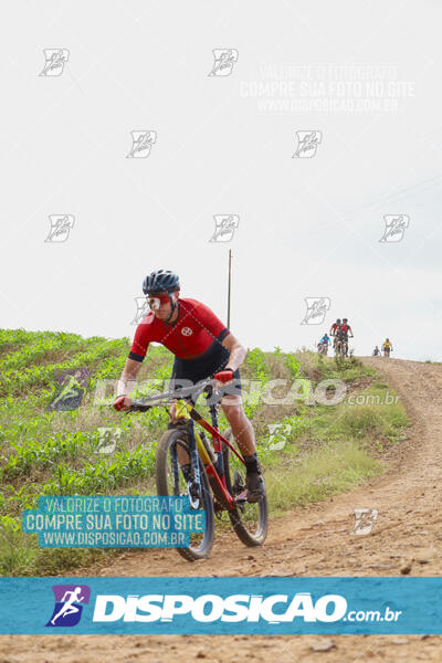 Pedala Paraná - Rota do Caramuru 2024