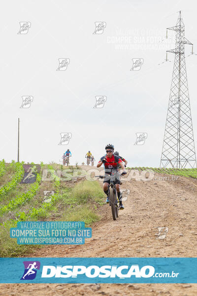 Pedala Paraná - Rota do Caramuru 2024