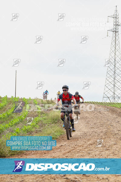 Pedala Paraná - Rota do Caramuru 2024