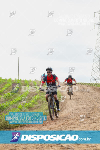 Pedala Paraná - Rota do Caramuru 2024