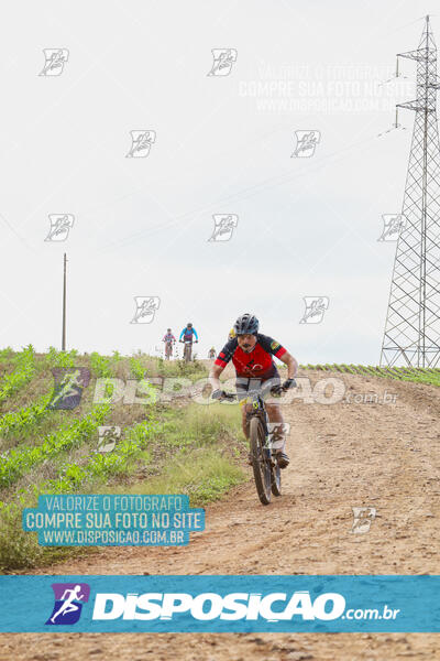 Pedala Paraná - Rota do Caramuru 2024