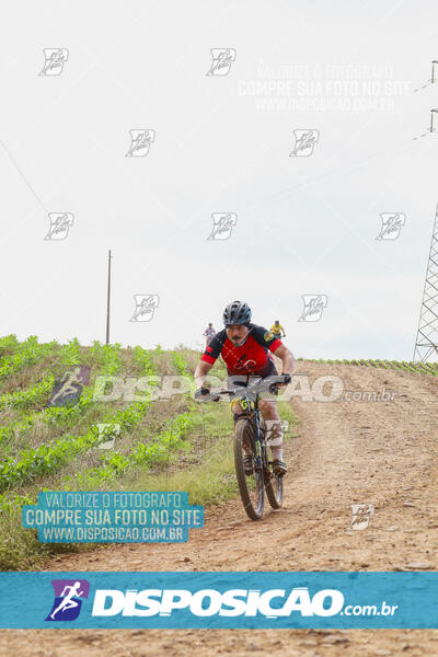 Pedala Paraná - Rota do Caramuru 2024