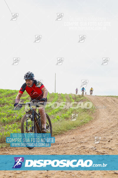 Pedala Paraná - Rota do Caramuru 2024