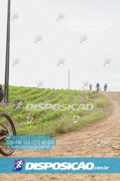 Pedala Paraná - Rota do Caramuru 2024