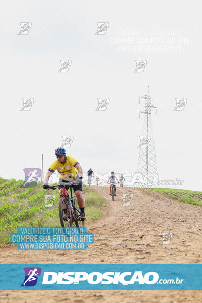 Pedala Paraná - Rota do Caramuru 2024