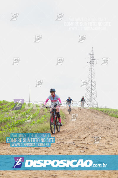 Pedala Paraná - Rota do Caramuru 2024