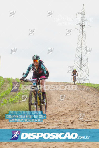 Pedala Paraná - Rota do Caramuru 2024