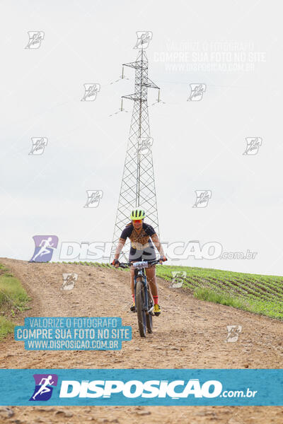 Pedala Paraná - Rota do Caramuru 2024