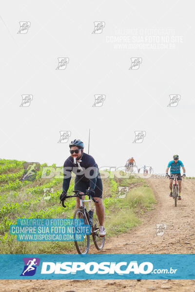 Pedala Paraná - Rota do Caramuru 2024