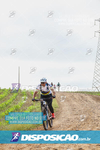 Pedala Paraná - Rota do Caramuru 2024