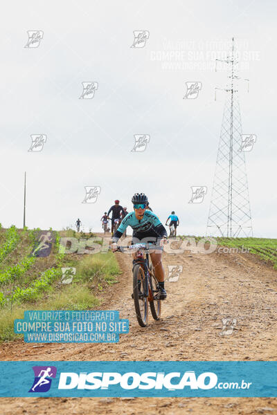 Pedala Paraná - Rota do Caramuru 2024