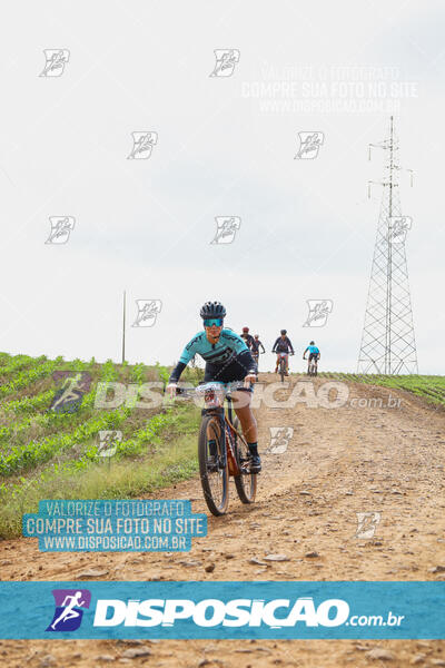 Pedala Paraná - Rota do Caramuru 2024