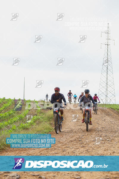 Pedala Paraná - Rota do Caramuru 2024