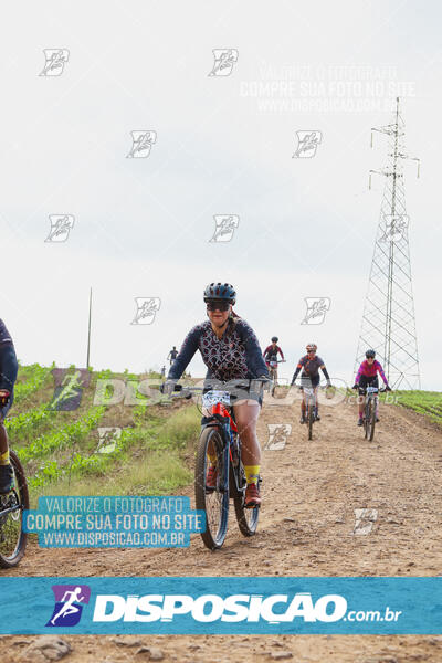 Pedala Paraná - Rota do Caramuru 2024