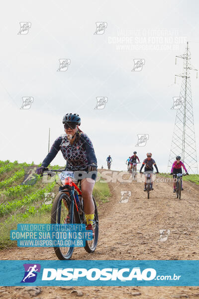 Pedala Paraná - Rota do Caramuru 2024