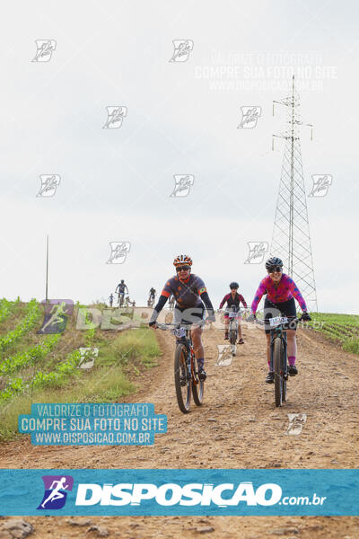 Pedala Paraná - Rota do Caramuru 2024