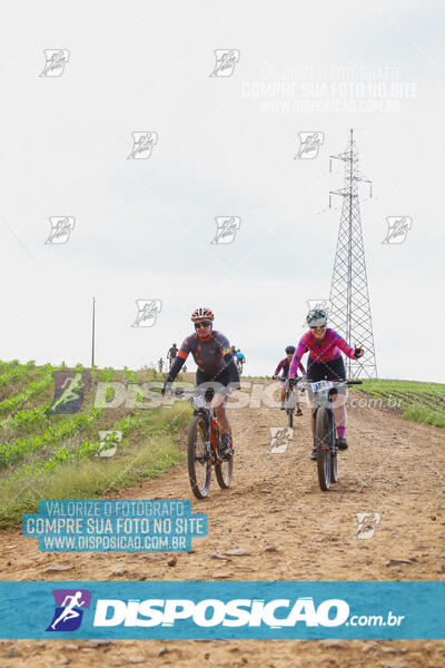 Pedala Paraná - Rota do Caramuru 2024