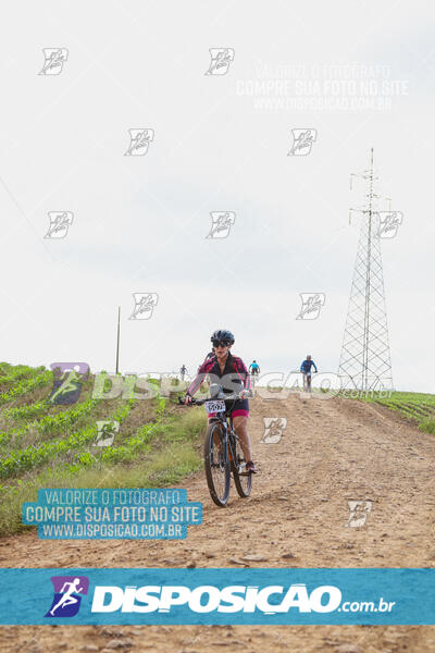 Pedala Paraná - Rota do Caramuru 2024