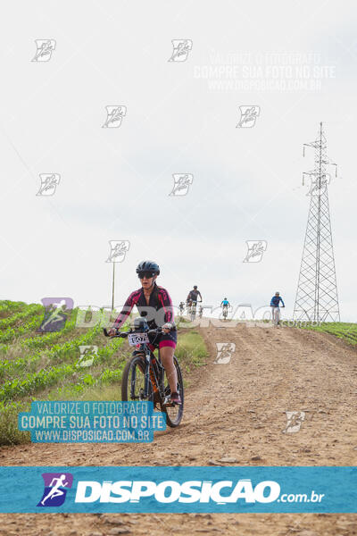 Pedala Paraná - Rota do Caramuru 2024