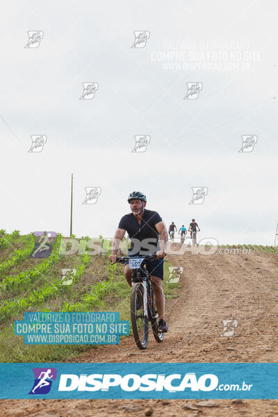 Pedala Paraná - Rota do Caramuru 2024