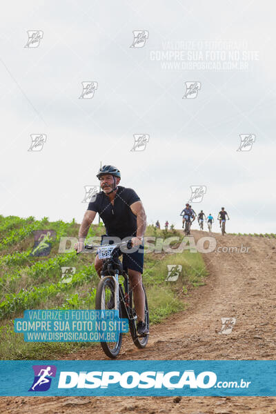 Pedala Paraná - Rota do Caramuru 2024