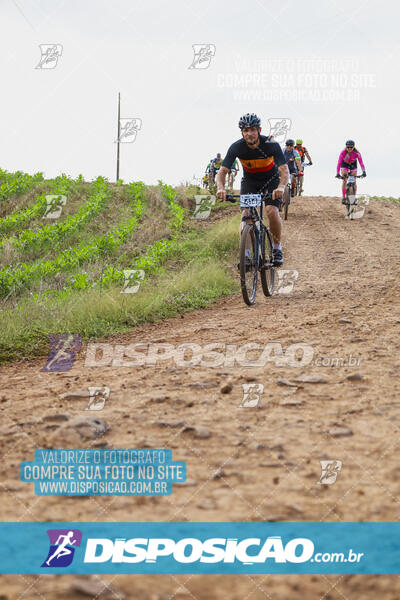 Pedala Paraná - Rota do Caramuru 2024