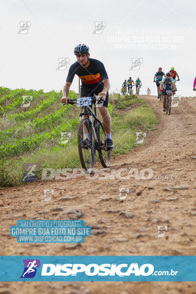 Pedala Paraná - Rota do Caramuru 2024