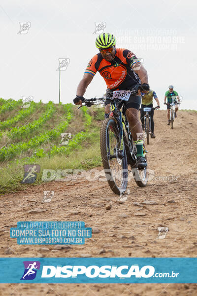 Pedala Paraná - Rota do Caramuru 2024