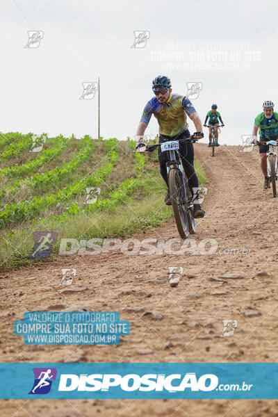 Pedala Paraná - Rota do Caramuru 2024