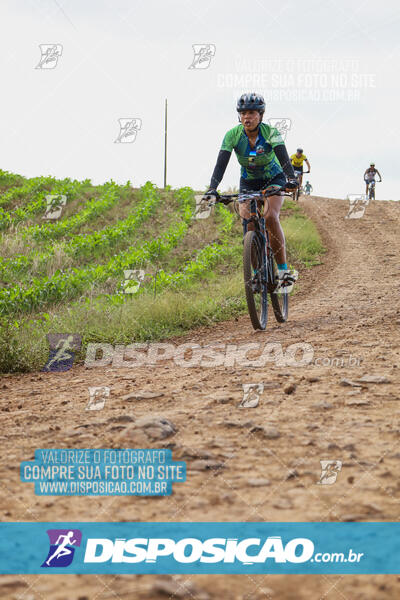 Pedala Paraná - Rota do Caramuru 2024