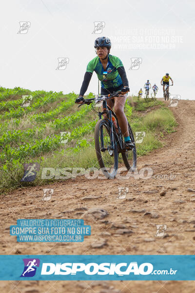 Pedala Paraná - Rota do Caramuru 2024