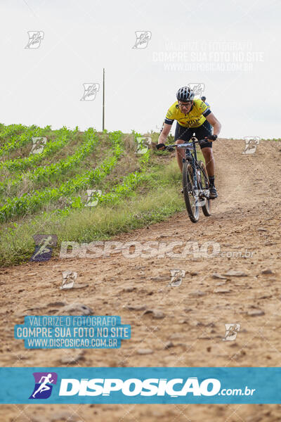 Pedala Paraná - Rota do Caramuru 2024